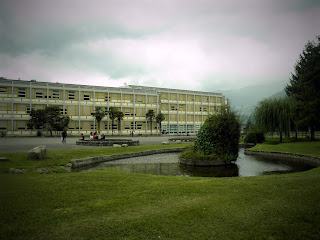 P9040214.JPG