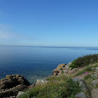 P1040170Resized.jpg