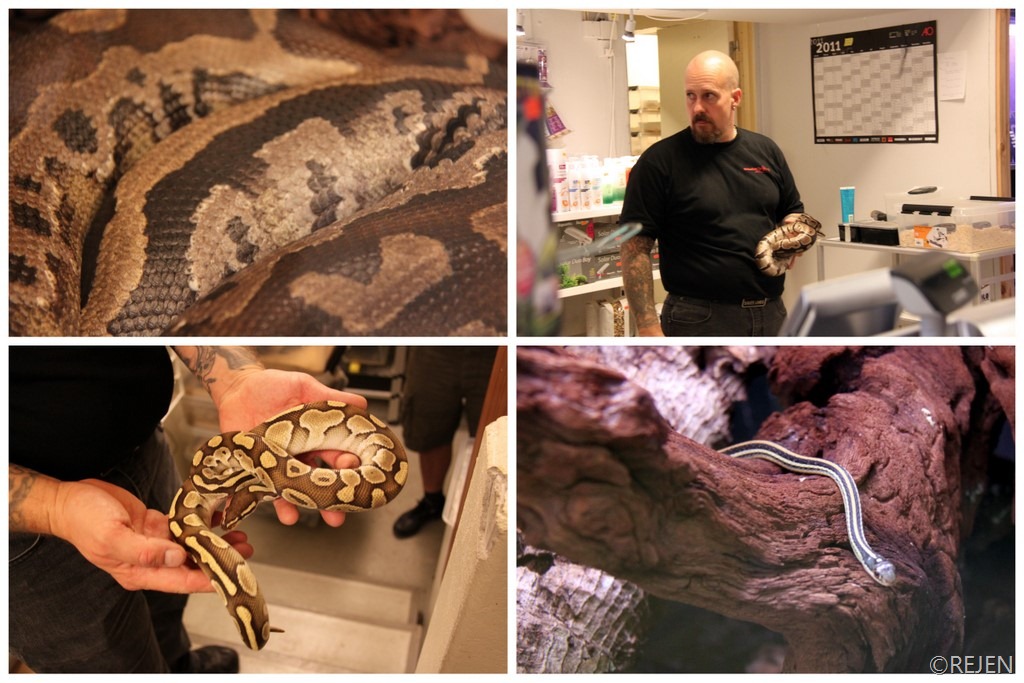[online%2520zoo6%255B2%255D.jpg]