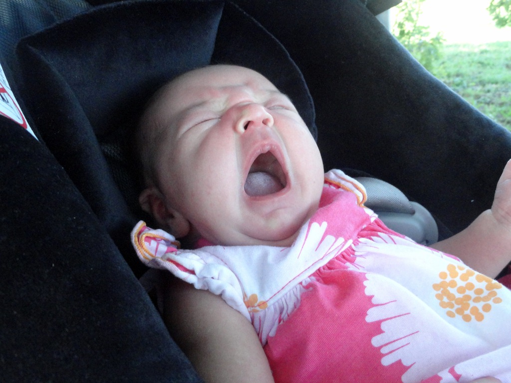 [DSC00935%2528rev%25201%2529%255B3%255D.jpg]