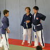 Evaluation Yoseikan Puyricard 024.JPG