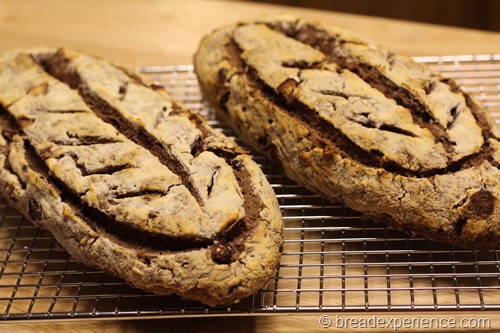 [hutzelbrot_20746.jpg]