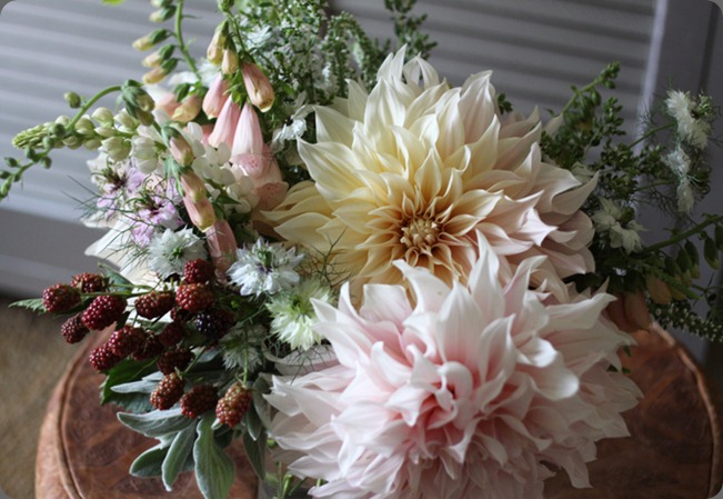 cafeaulait1 mckenzie powell designs cafeaulait1 mckenzie powell designs