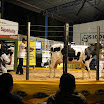 superleite2011_dia1507_216.JPG