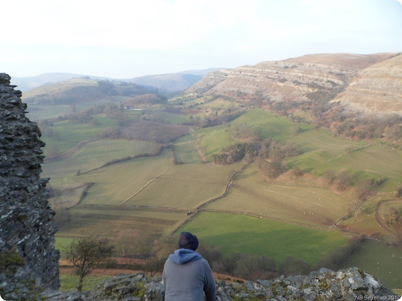 SAM_0043 Dinas Bran