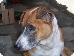 balto