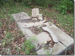 Myers family Cemetery & Barge Cemetery Oconee Georgia-10-2011 026
