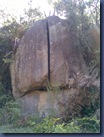 Imagem1129