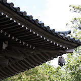 Mount Takao (高尾山 takaosan)