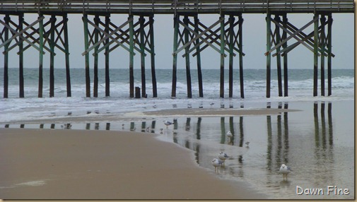 Pawleys island (8)