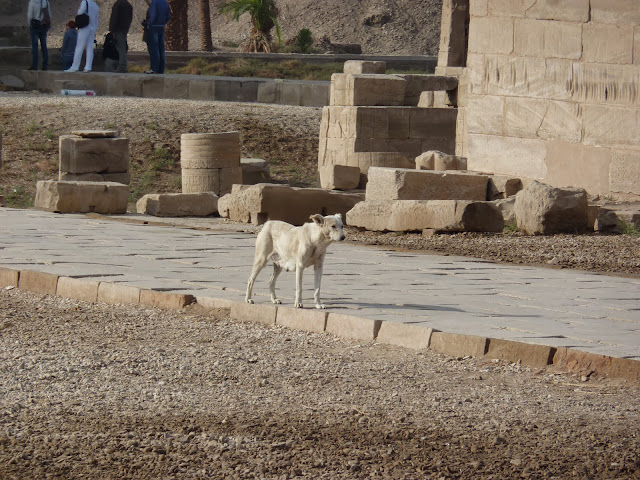 Египет храм Хатхор
