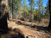 DSCN1918.JPG Photo