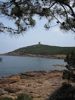 IMG_4324.JPG Photo