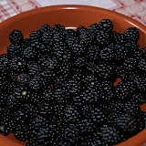 DSC03817.JPG