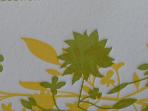 Here you can see up close what overprinting looks like. See the yellow popping through the green?