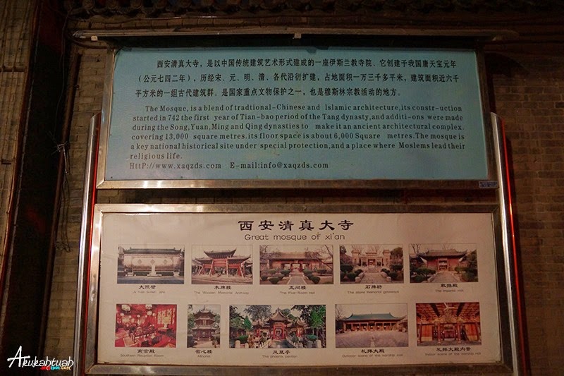 DSC03257 DSC03257