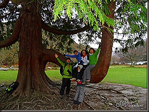 SAM_1790 SAM_1790