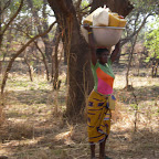 SANY0327.JPG