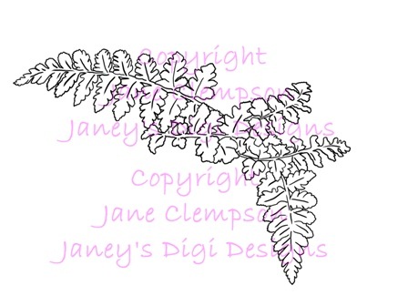 [Fern%2520%25281%2529%2520-%2520Watermarked%2520-%2520Blog%255B3%255D.jpg]