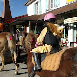 DSCF2903.JPG