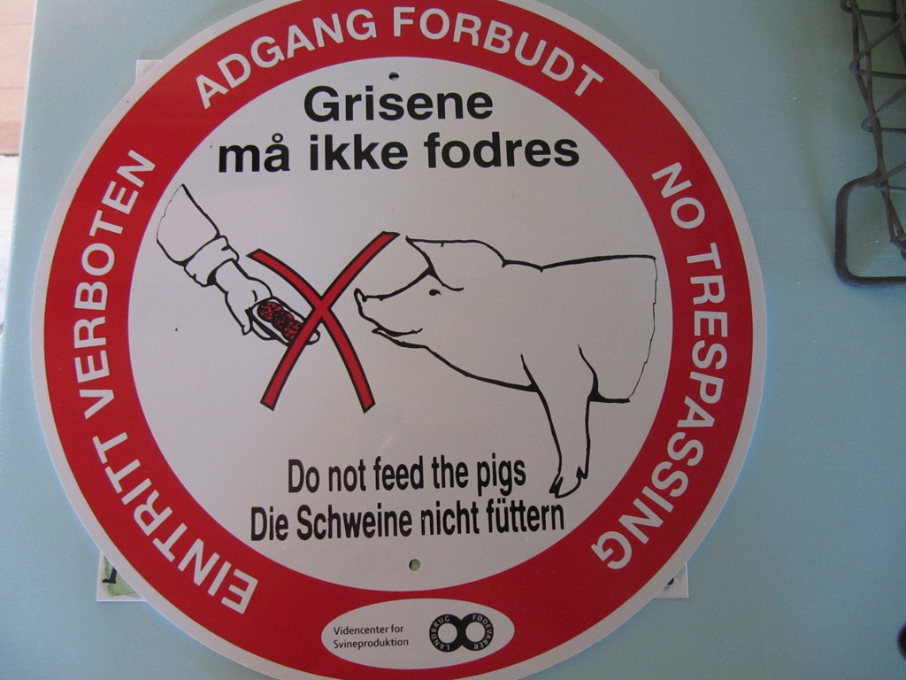 [grise%2520002%255B4%255D.jpg]