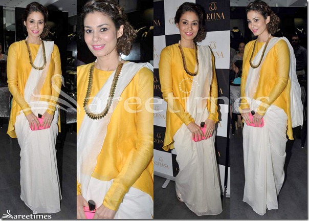 Shaheen_Abbas_Payal_Singhal_Saree