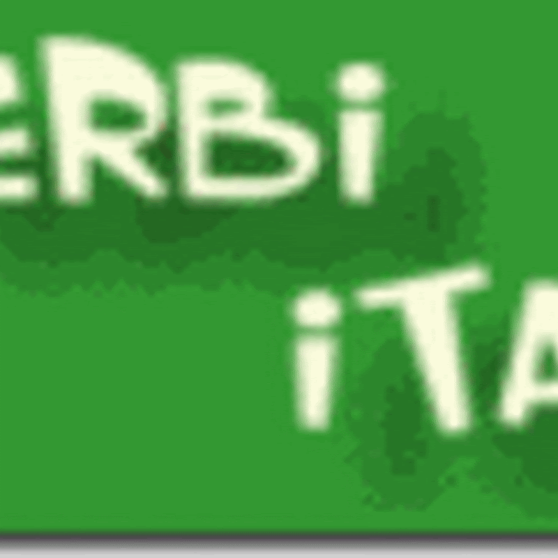 Conjugarea verbelor in Italiana