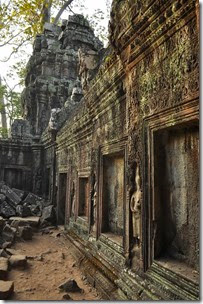Cambodia Angkor Ta Prohm 131226_0503