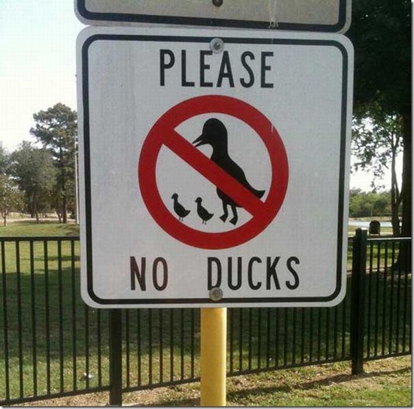 Por favor, nada de patos