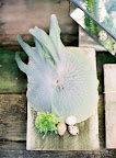 This large, pretty leaf would make an interesting centerpiece.