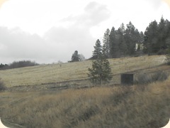 DSCN8470