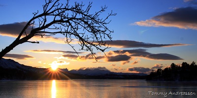 photoview_nordlandsfoto_IMG_7382