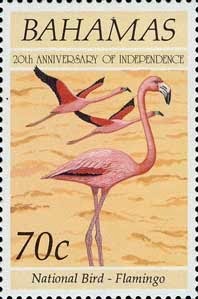 [bahamas-flamingo%255B5%255D.jpg]
