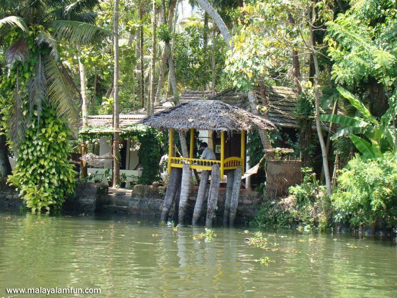 Oru Kuttanadan Yathra: The scenic view of Kerala(South India)