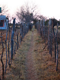 South Africa - 003.JPG