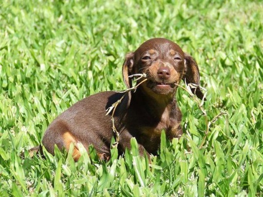[funny-animals-cute-15%255B2%255D.jpg]