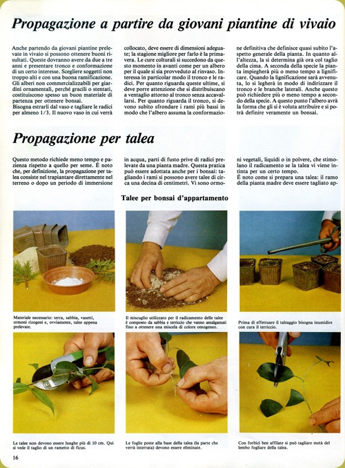img016 img016