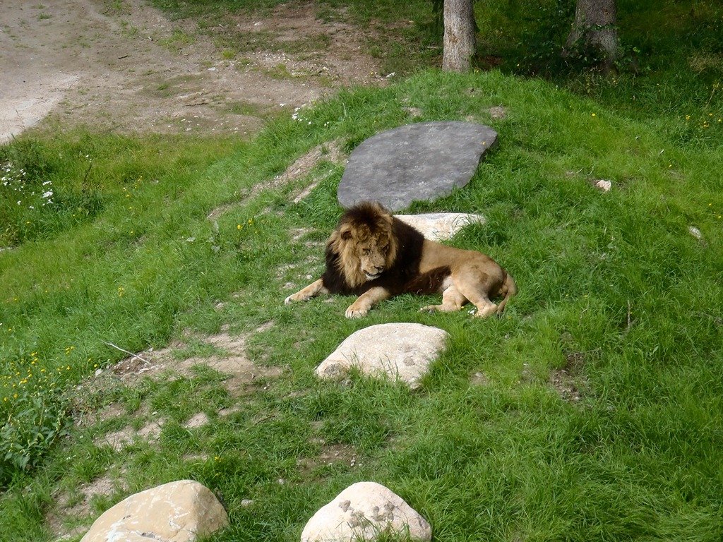 [P7301889%255B4%255D.jpg]