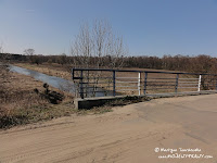 dsc07519.jpg