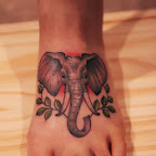 elephant foot
