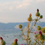 Grèce