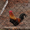 dsc05318.jpg