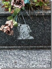 IMG_0989 IMG_0989