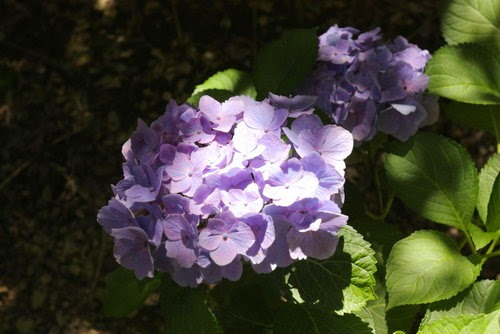 z_CDWF14X15IdZkZMgn_xw z_CDWF14X15IdZkZMgn_xw