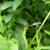 P1120448