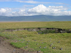 DSCN6956.JPG