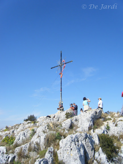 2012_02260021.jpg