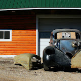 "For Sale Or Trade" - copyright Sera Hayes