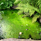 Botanical Gardens