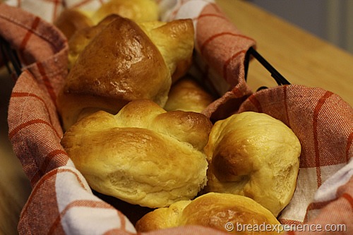 pumpkin-knot-yeast-rolls_1626